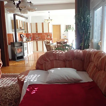 Guest house Tinka *